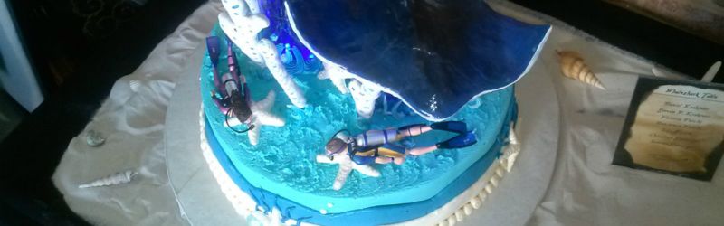diver-cake.jpg