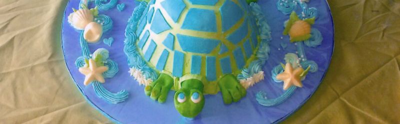 turtle-cake-2.jpg
